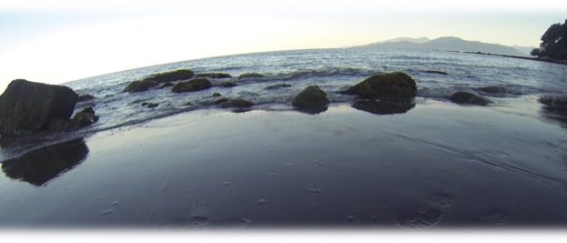 Henry Lai Water Picture